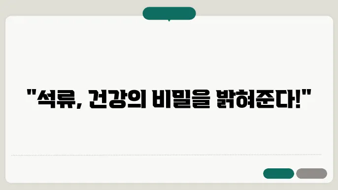 석류 효능