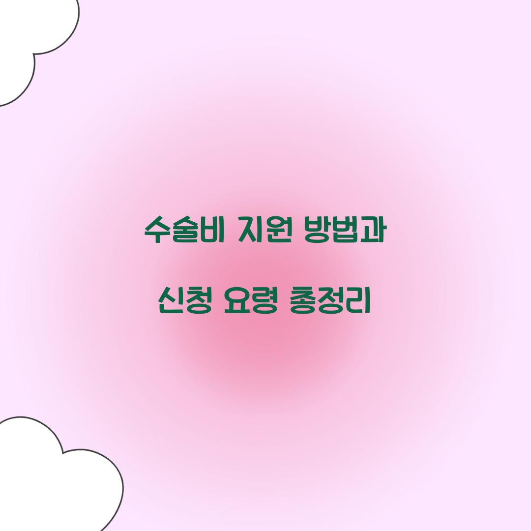 수술비 지원 방법