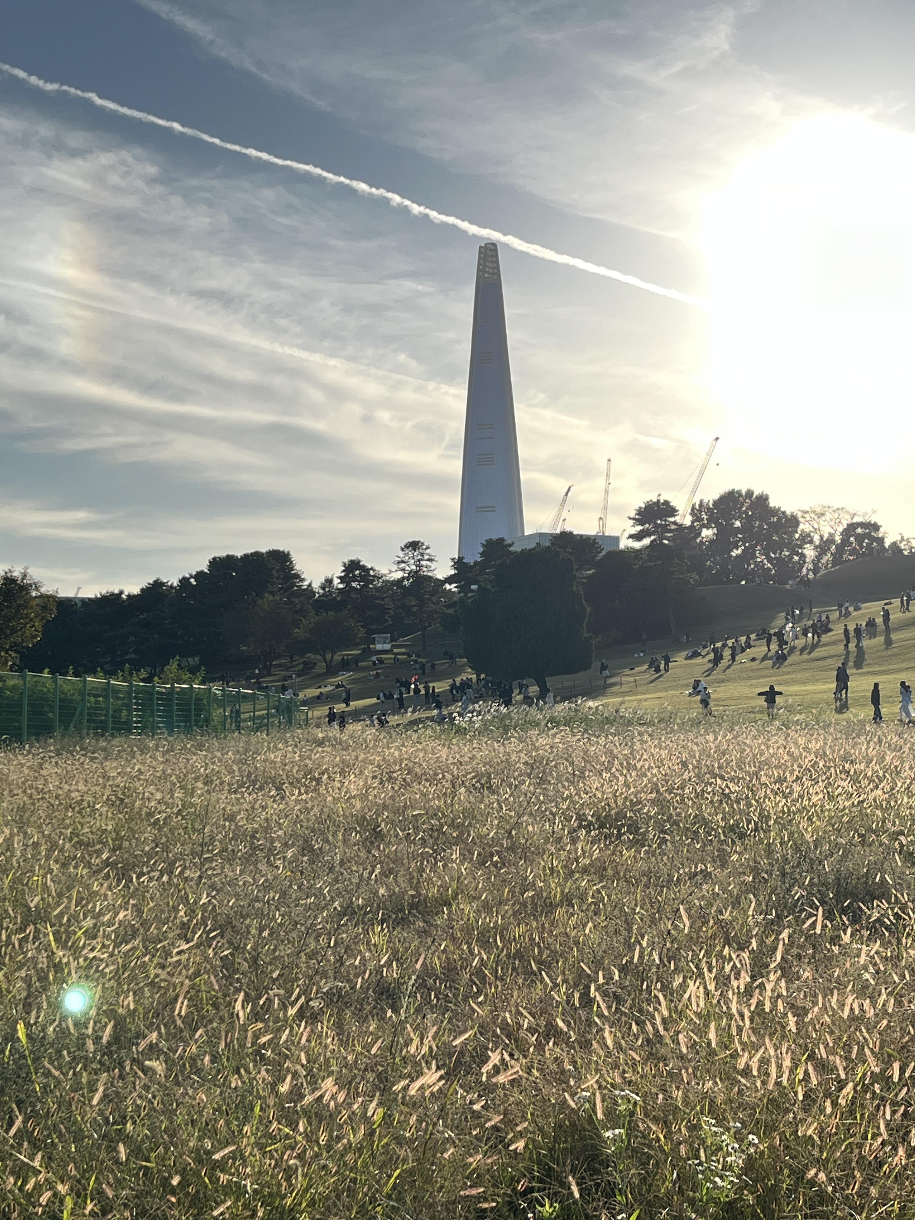 올림픽공원 나홀로나무