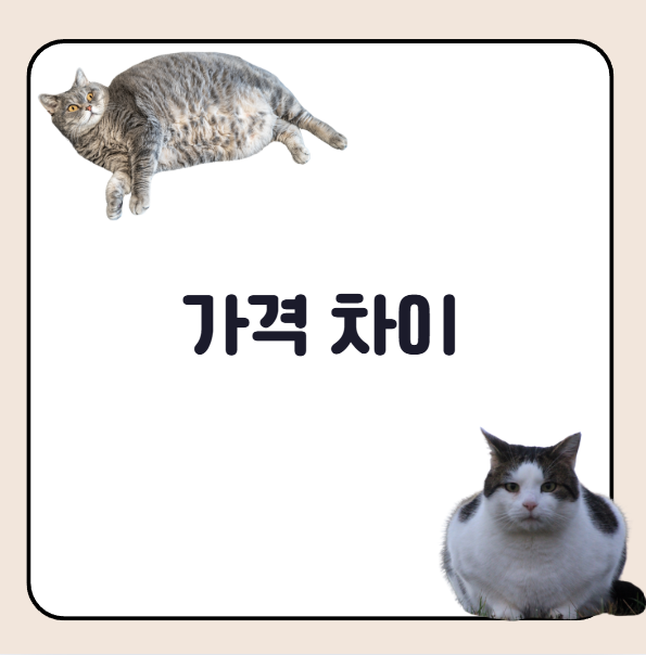 위고비 마운자로 가격 차이