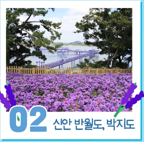 신안-반월도&#44;-박지도
