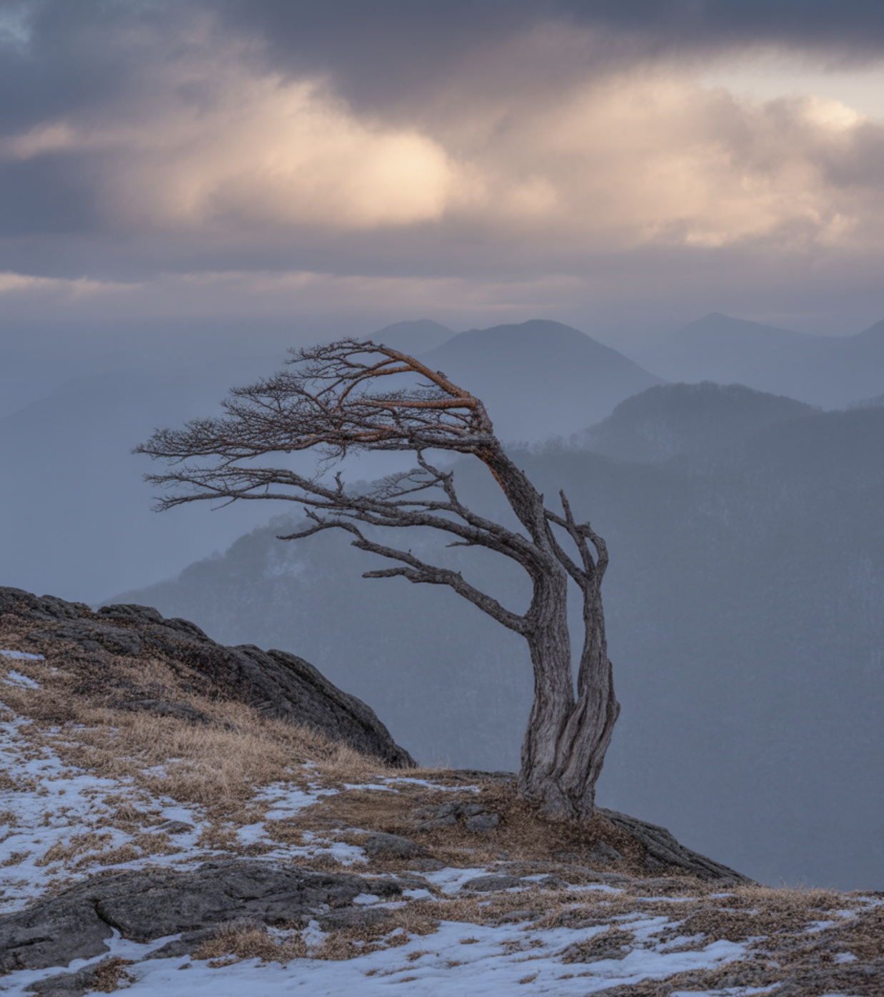 고향에서 사라져가는 비극