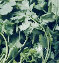 비타민c 비타민k