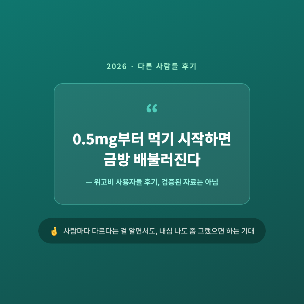 위고비 0.5mg 증량 후기를 검색하며 다른 사람들의 식욕 변화 경험담을 찾아보는 모습