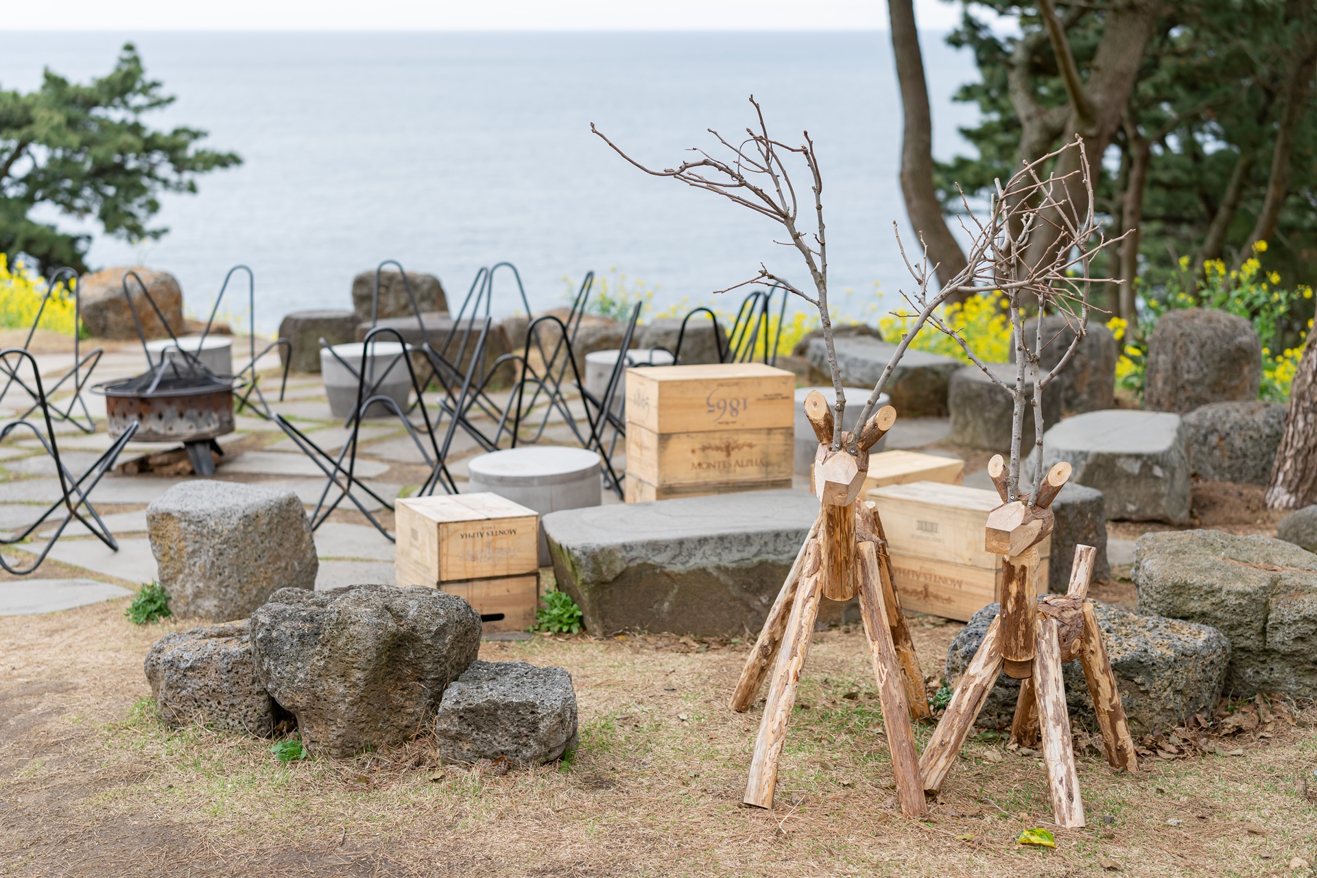 #JW가든 #JW메리어트제주 #댄싱두루미 #더플라잉호그 #아일랜드키친 #유채꽃 #제주사진 #제주여행 #제주유채꽃 #제주호텔