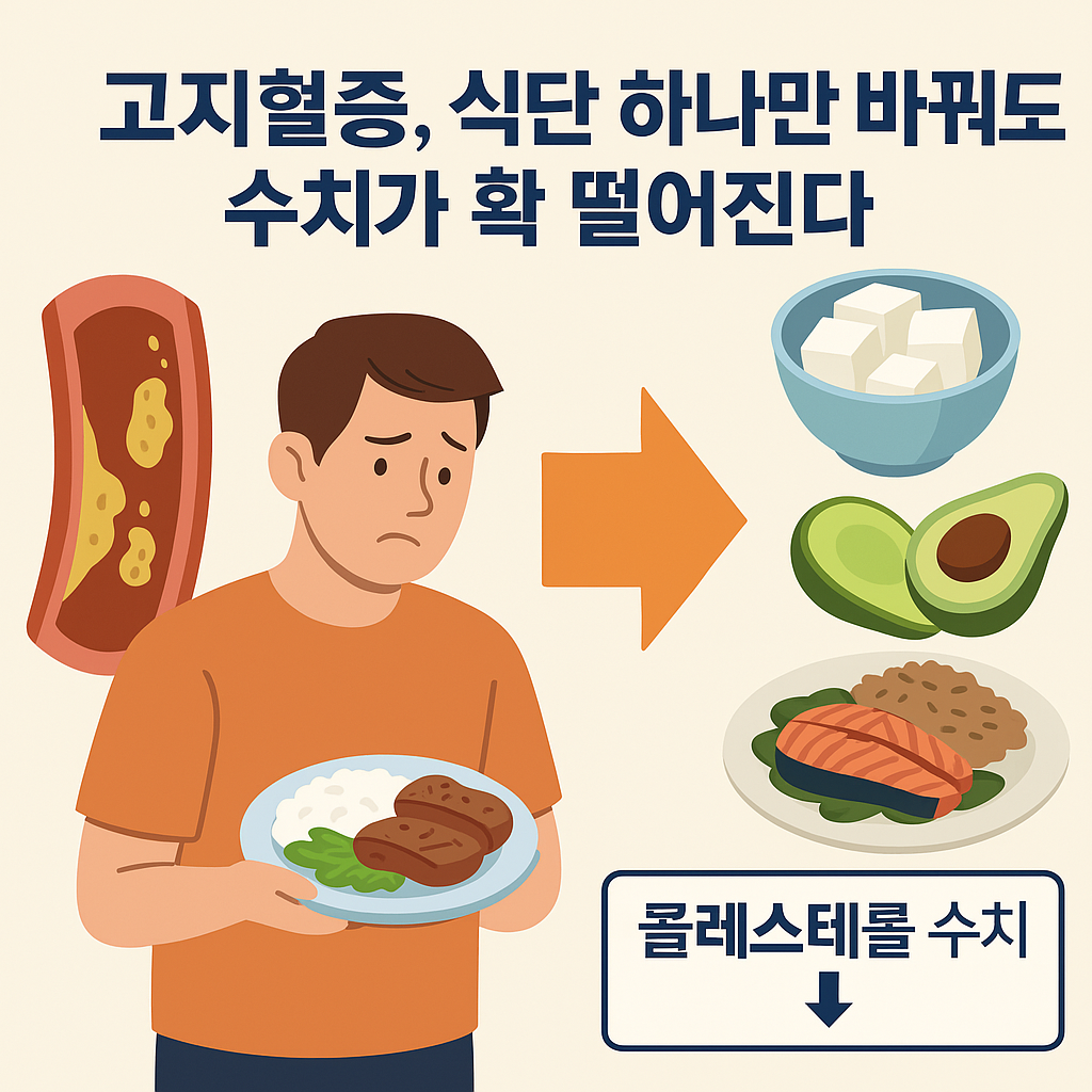고지혈증식단