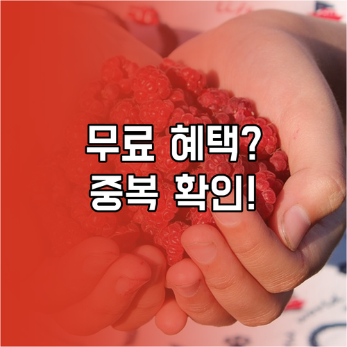 노인맞춤돌봄서비스 신청 전 중복 수혜..