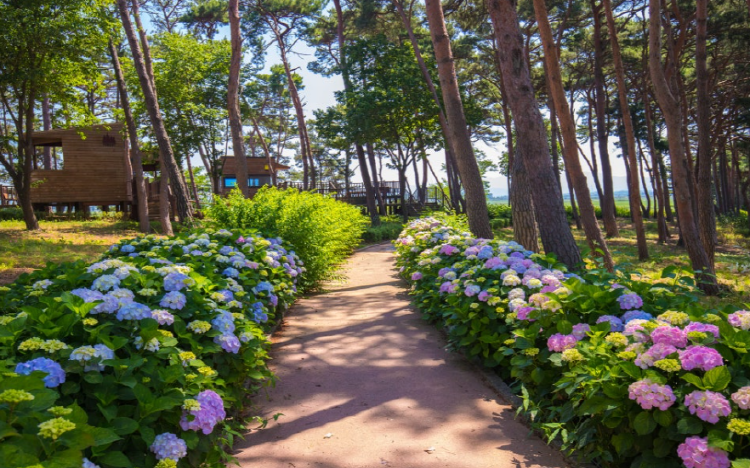 서산 모월힐링숲
