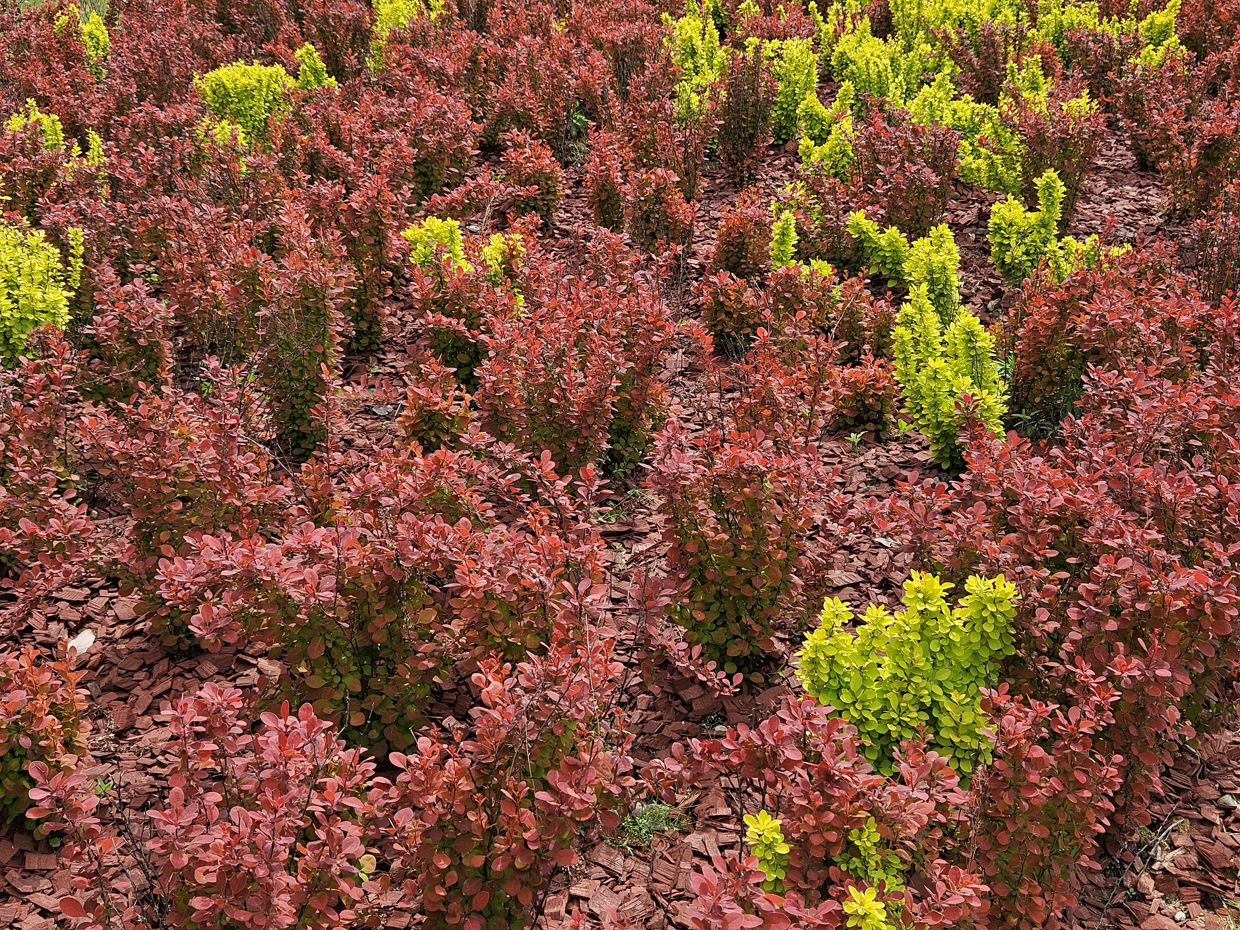어린이 예술가 변신! 장성군 직업체험, 플로리스트 꿈 키워요!