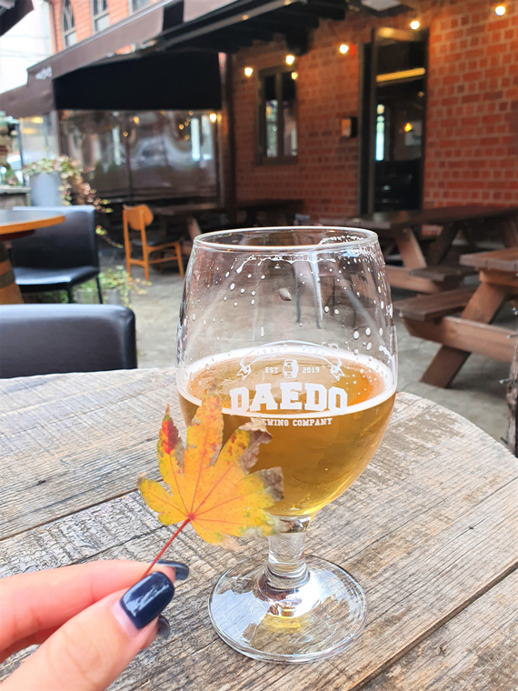 맥주와-노란-단풍잎