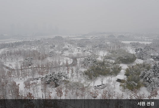 대전 한밭수목원 꽃구경