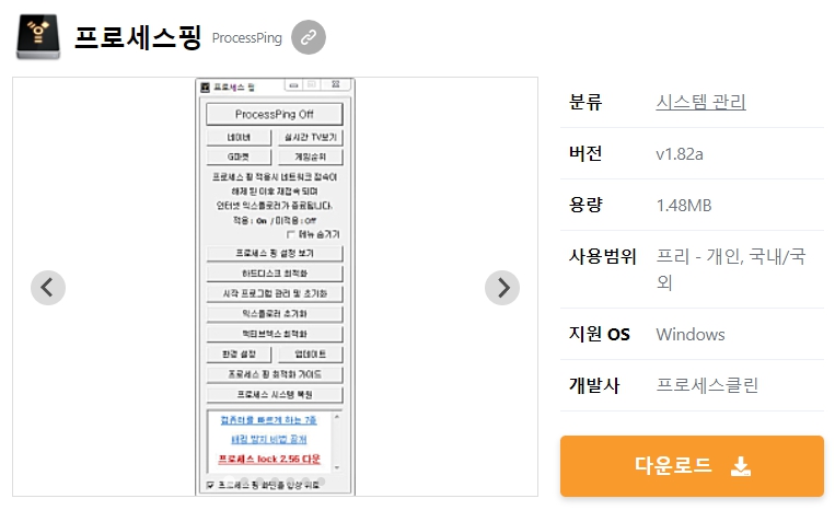 프로세스핑