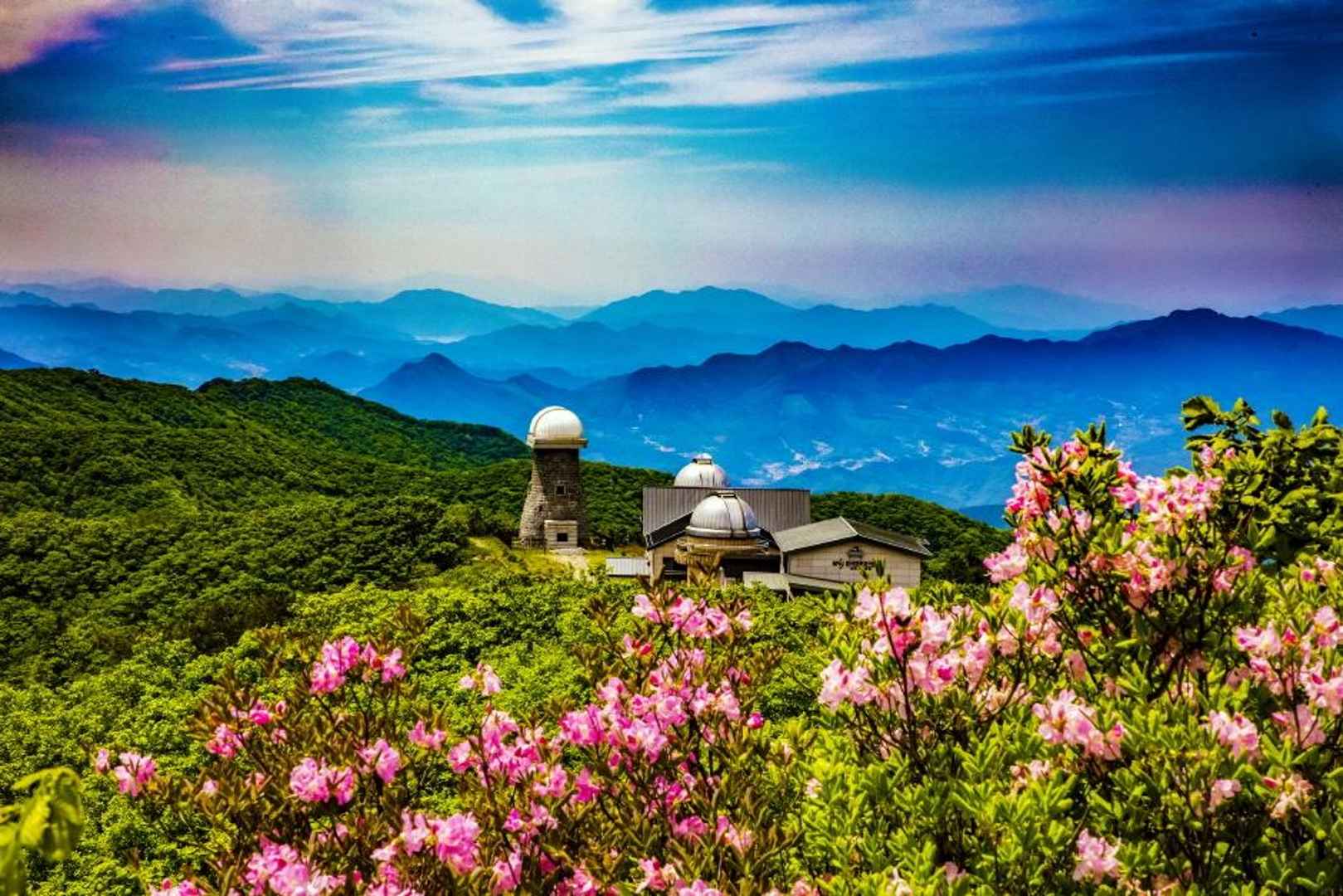 영주 소백산철쭉제 기본정보