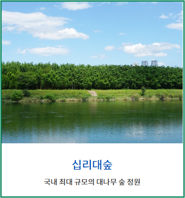 태화강 국가정원 봄꽃축제-십리대숲