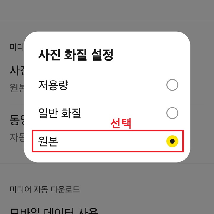 사진 화질 설정 창 보임