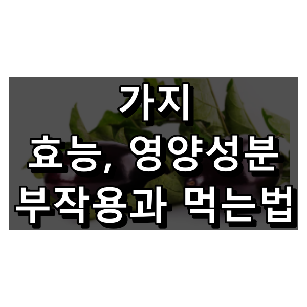 가지 효능과 영양성분, 부작용과 먹는법 대표 이미지