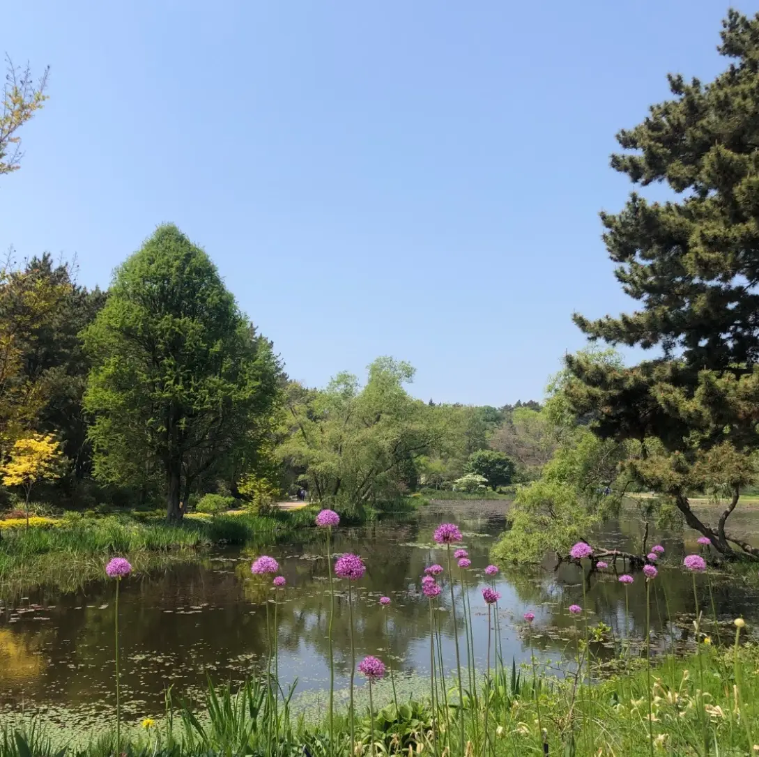 천리포수목원-입장료-운영시간-목련축제