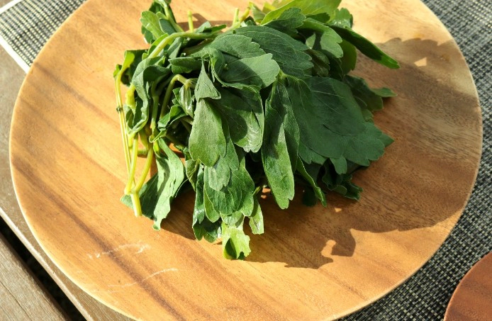 방풍나물 무침 황금 레시피