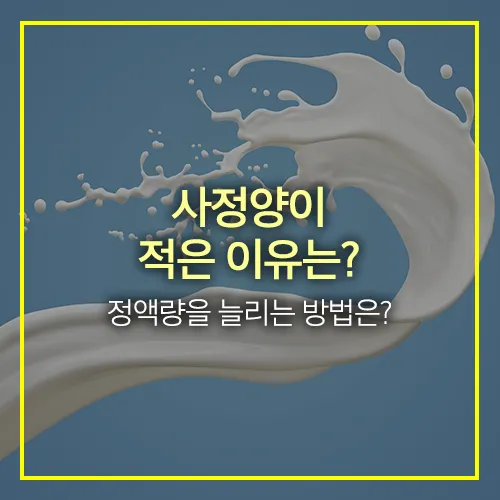 사정양이 적은 이유