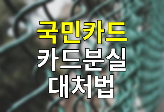 국민카드 분실신고, 당황하지 말고 이렇게 하세요!