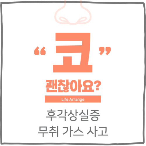 후각상실증 무취 가스 사고