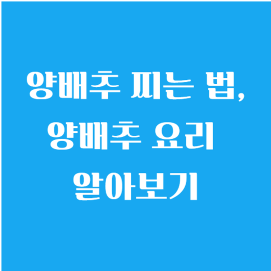 양배추 찌는 법, 양배추 요리 알아보기