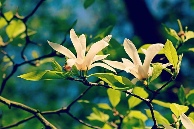 봄철 우울증 극복 심리요법 (인지행동치료, 명상, 대화법)
관련사진
