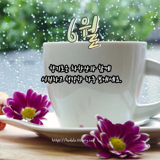 시원하고-청량한-하루