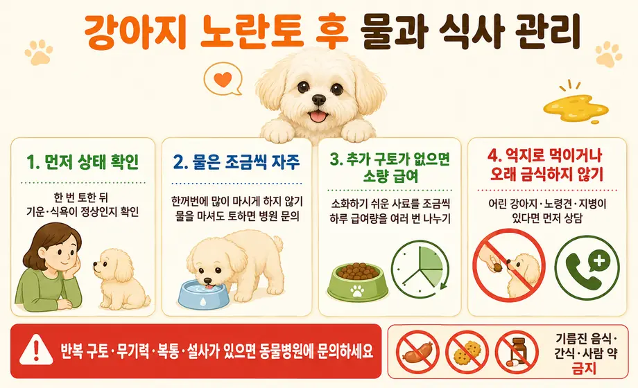 강아지 노란토 후 물을 조금씩 주고 사료를 소량 급여하는 방법과 반복 구토 시 병원 진료 기준