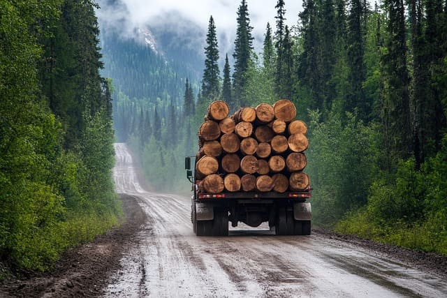 산림기능사&amp;#44; 퇴직 후 인생 2막의 직업