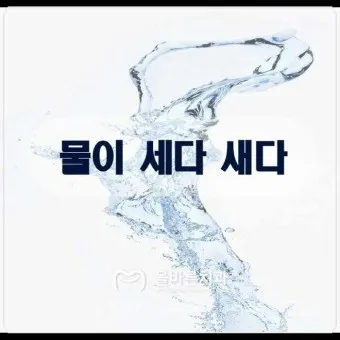 물이 세다 새다 맞춤법 맞는 표현_21