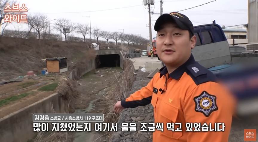 타조의 탈출과 비극적인 결말