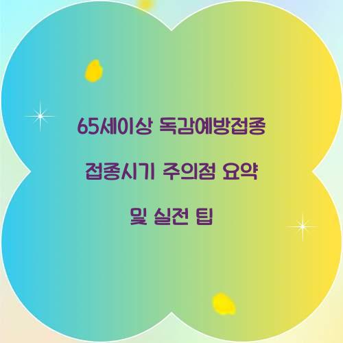 65세이상 독감예방접종