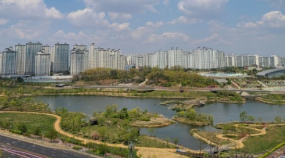 파주벚꽃명소