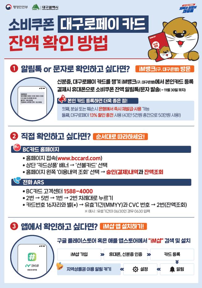 소비쿠폰 카드 잔액 확인 방법