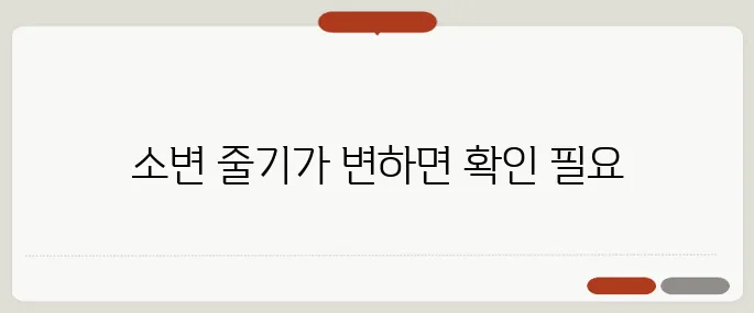 전립선암 초기증상 소변 줄기 이상하면 의심