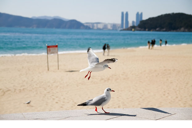 무창포해수욕장