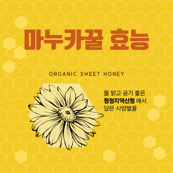 마누카꿀 효능과 부작용