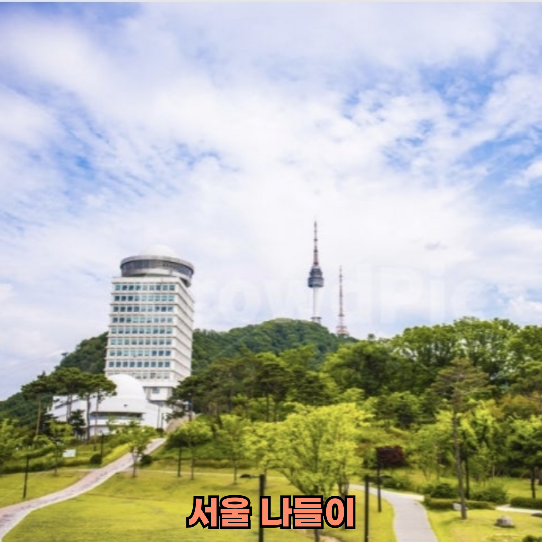 서울봄나들이핫플