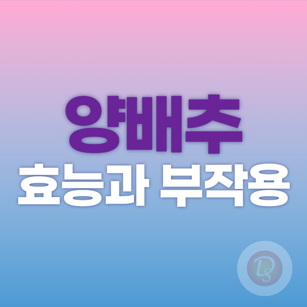 양배추의 효능과 부작용