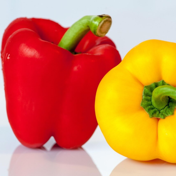 면역력 높이는 영양제 사진 20