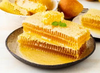 면역력 높이는 영양제 프로폴리스 효능 및 부작용