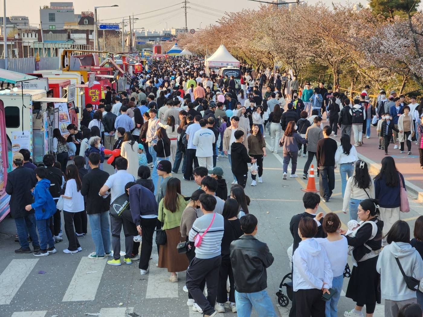 청주 푸드트럭 축제