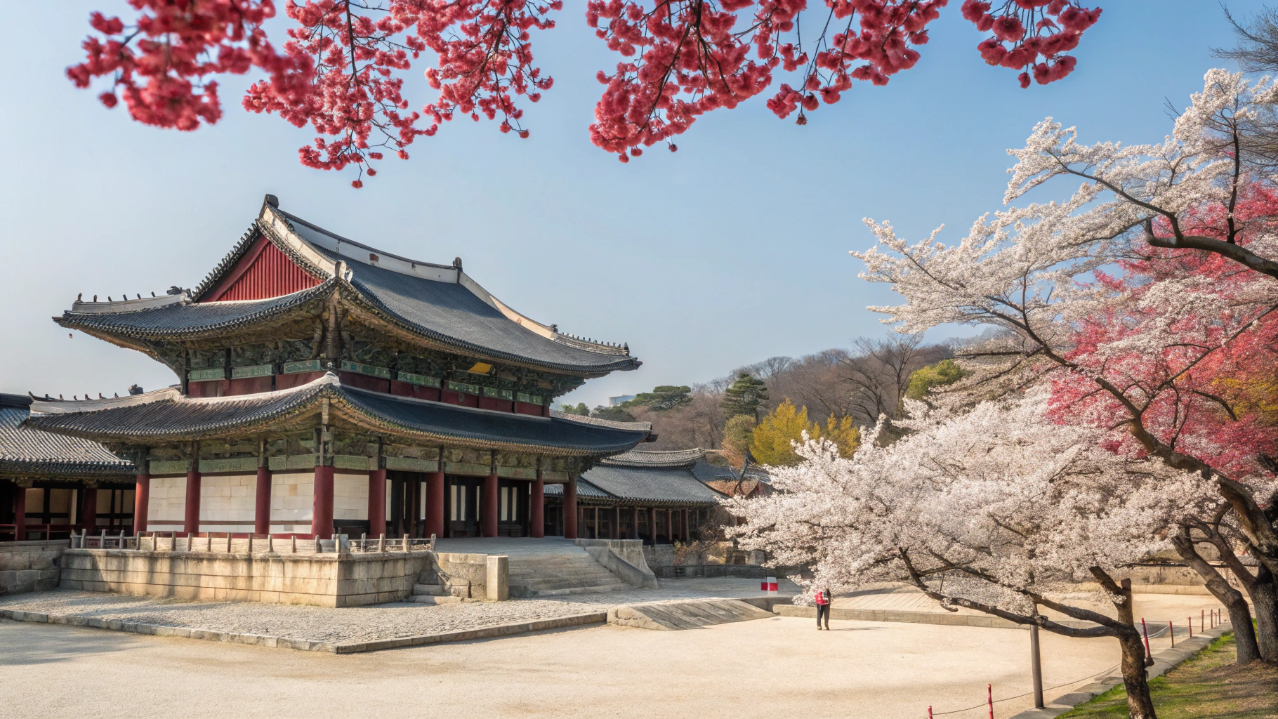 창덕궁 봄날 궁궐 산책