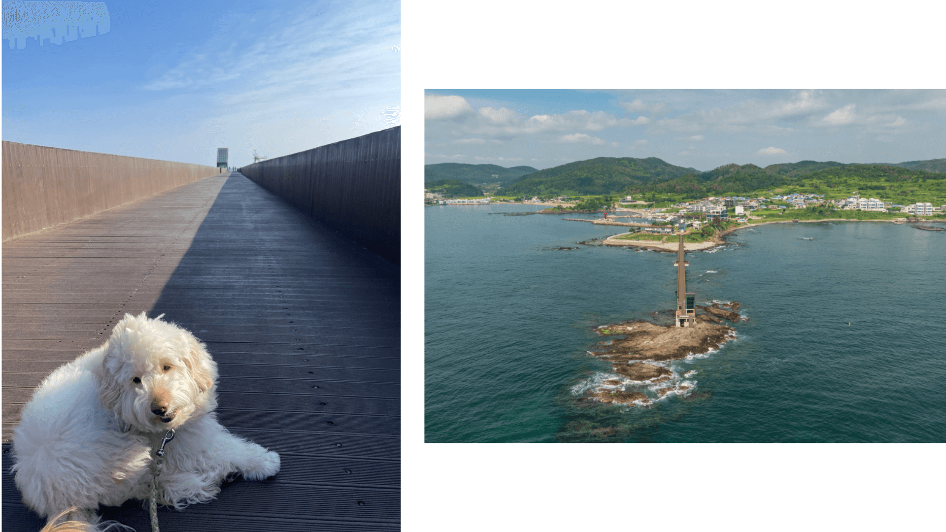보릿돌교