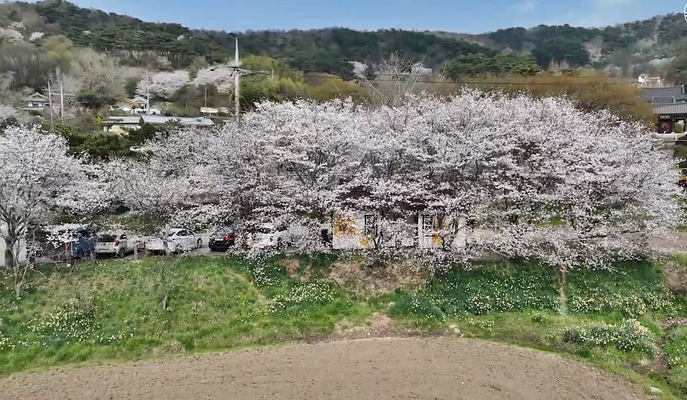 거북이마을