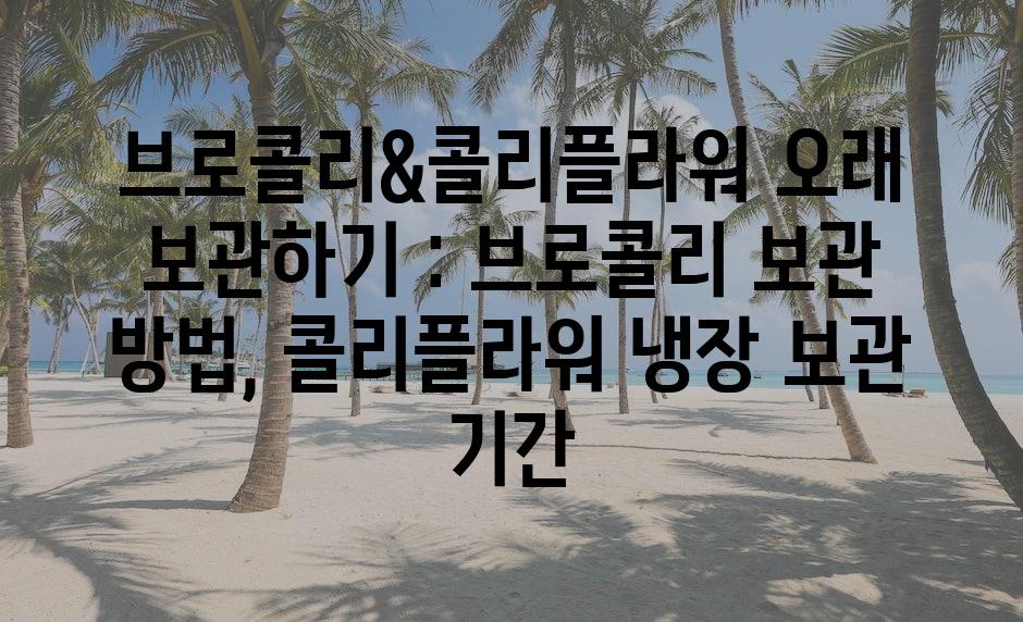 샘플 (73)
