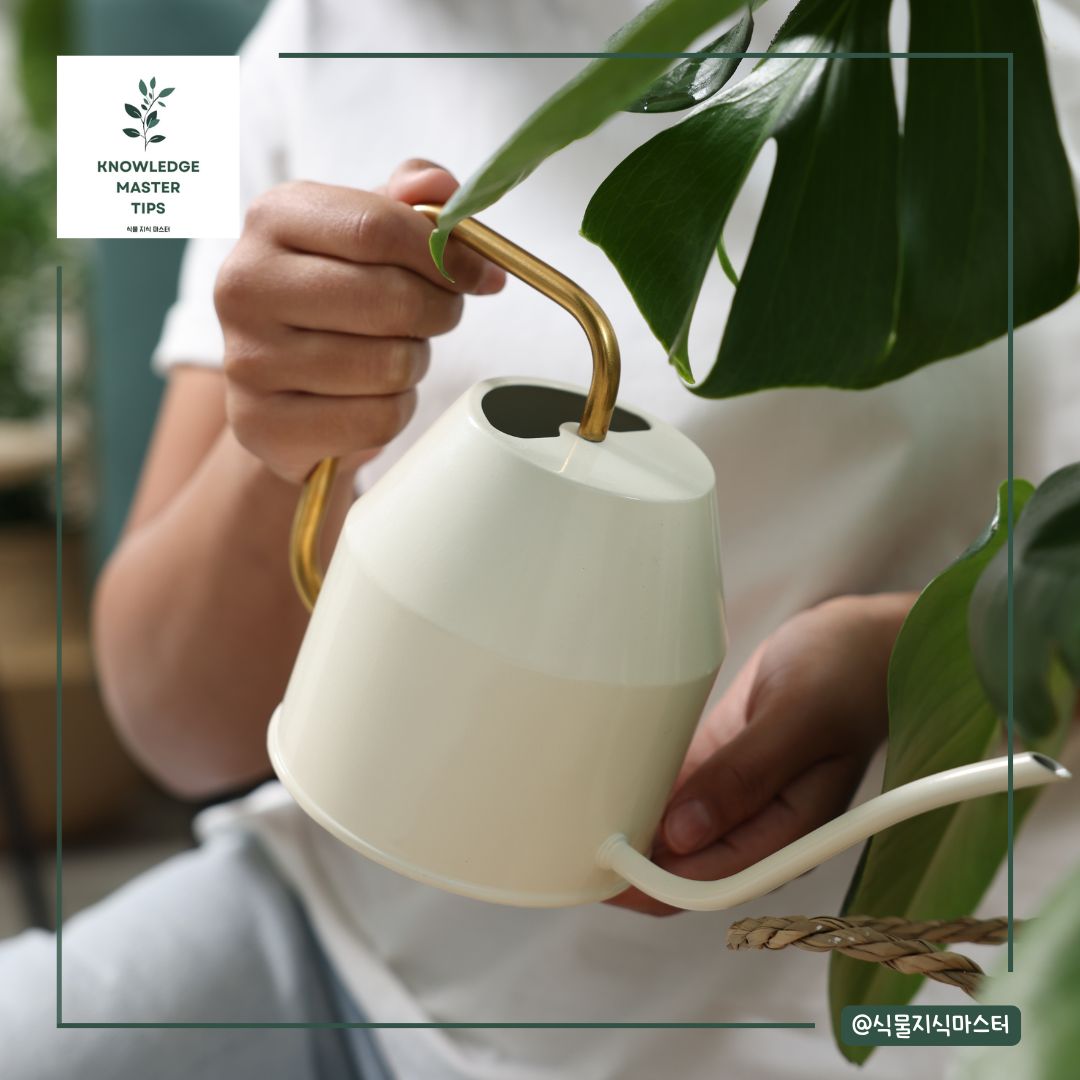 물 부족 및 건조한 환경