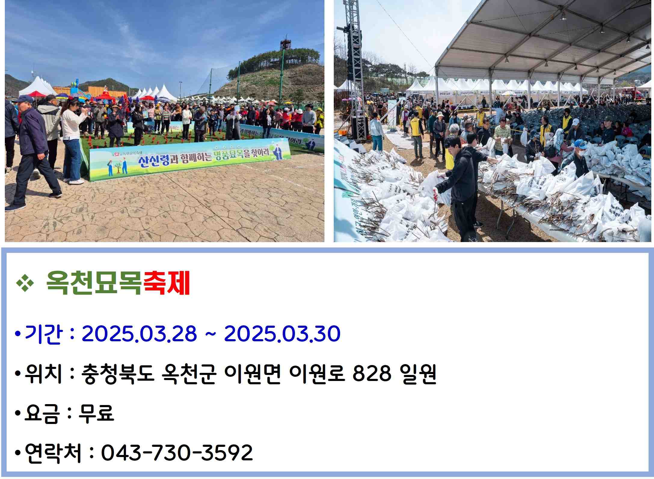 옥천묘목축제