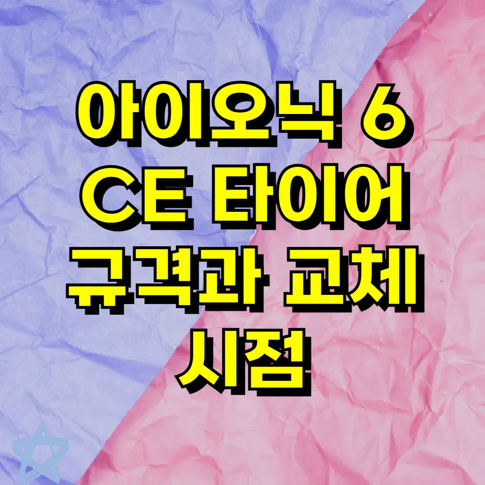 아이오닉 6 CE 타이어 규격과 교체 시점